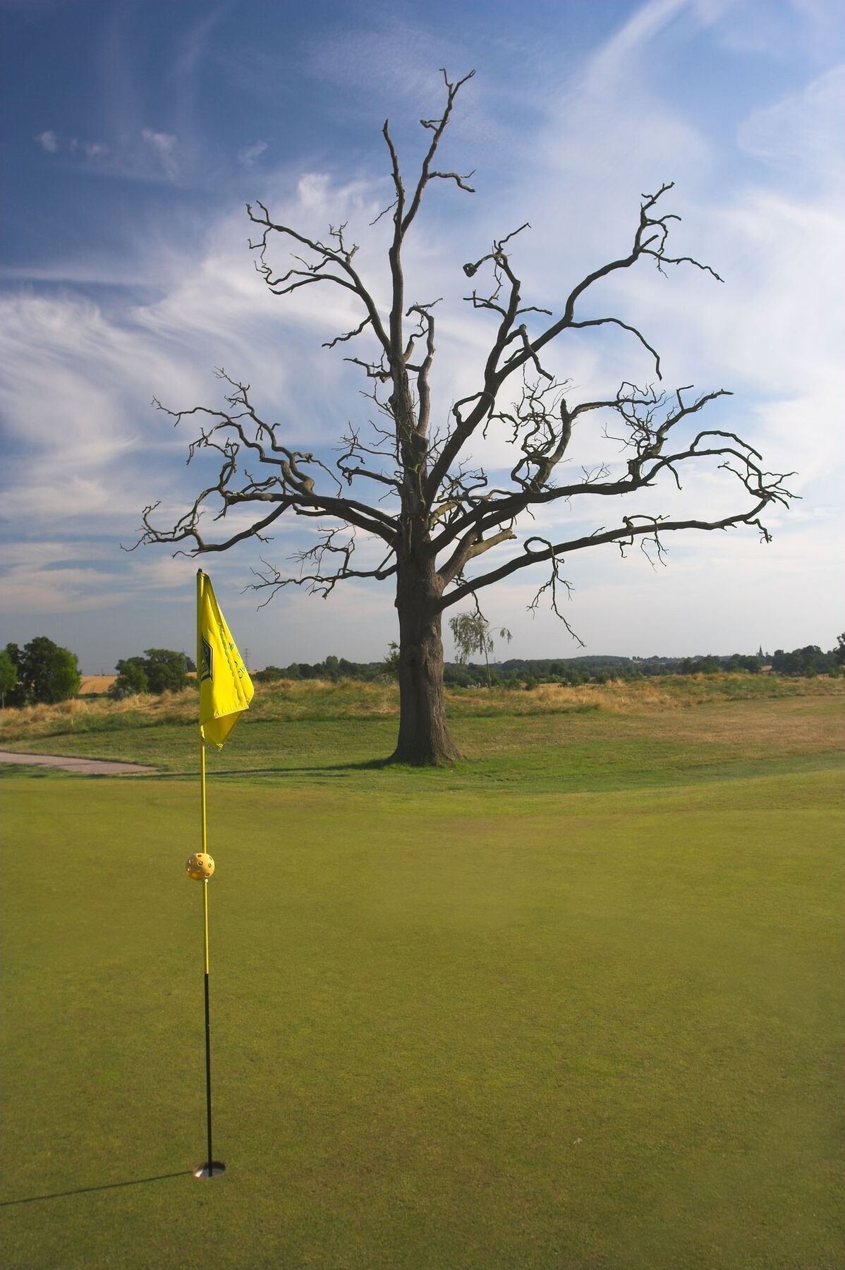 Hotel De Vere Wokefield Estate 4*